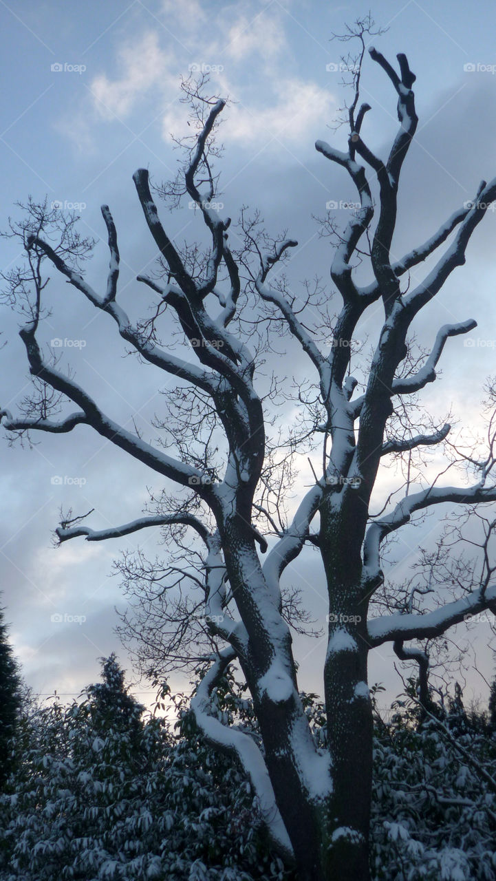 snow sky dark alone by JanineorJ