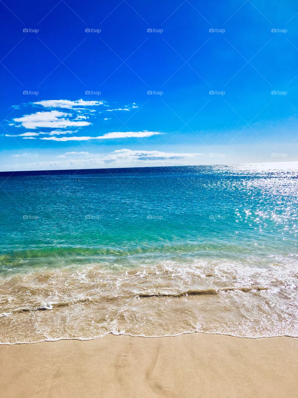 Beach and ocean