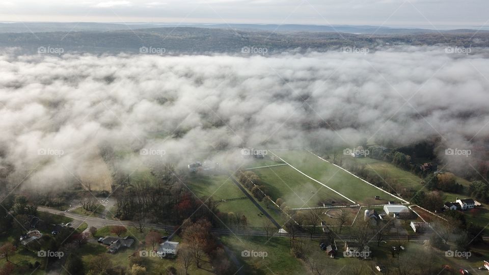 Fog over fields