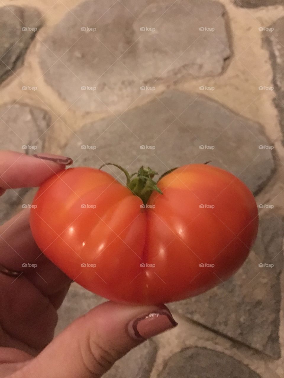 Homegrown Heirloom Heart Shaped 
Tomato