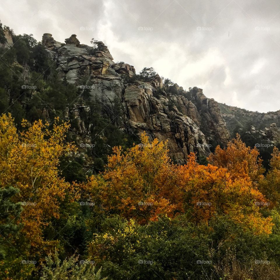Mountain Landscape - Fall