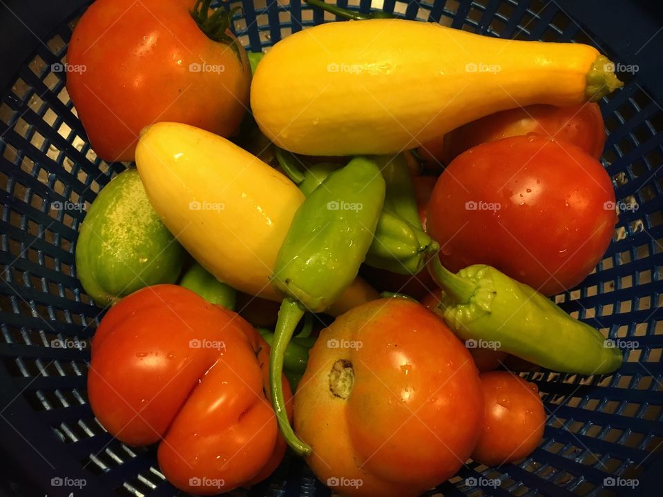 Fresh From The Garden