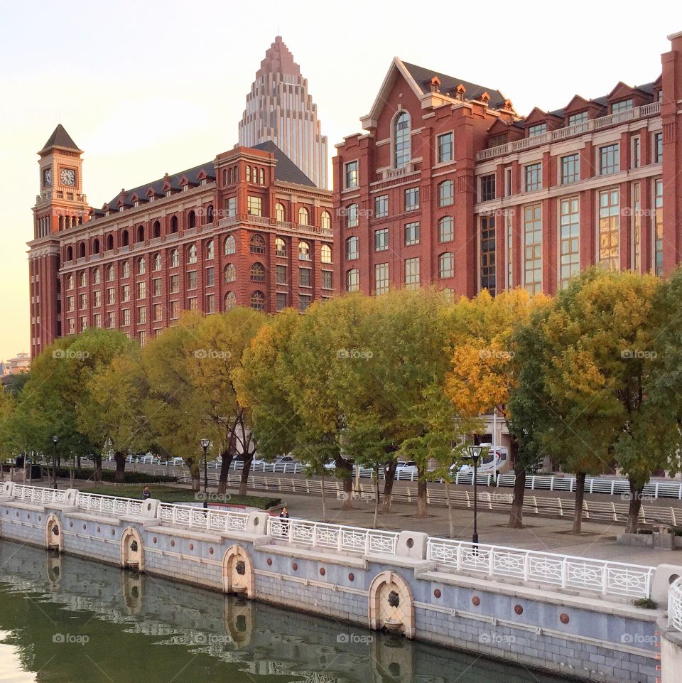 Tree line in front of building
