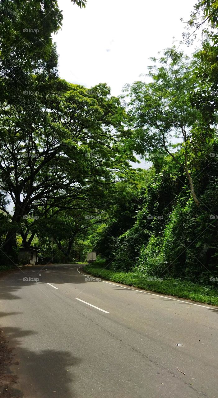 out of town.. beautiful road 2