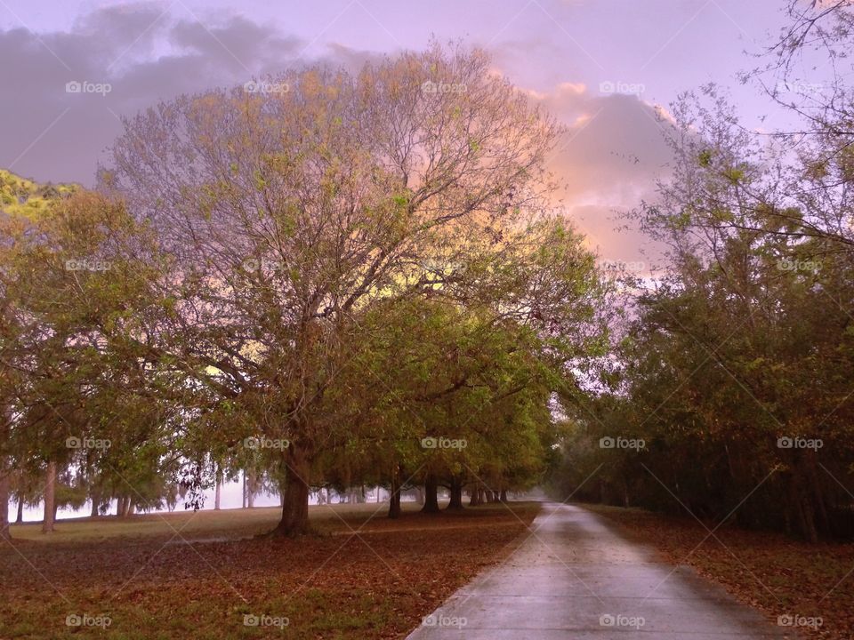 Golden entrance