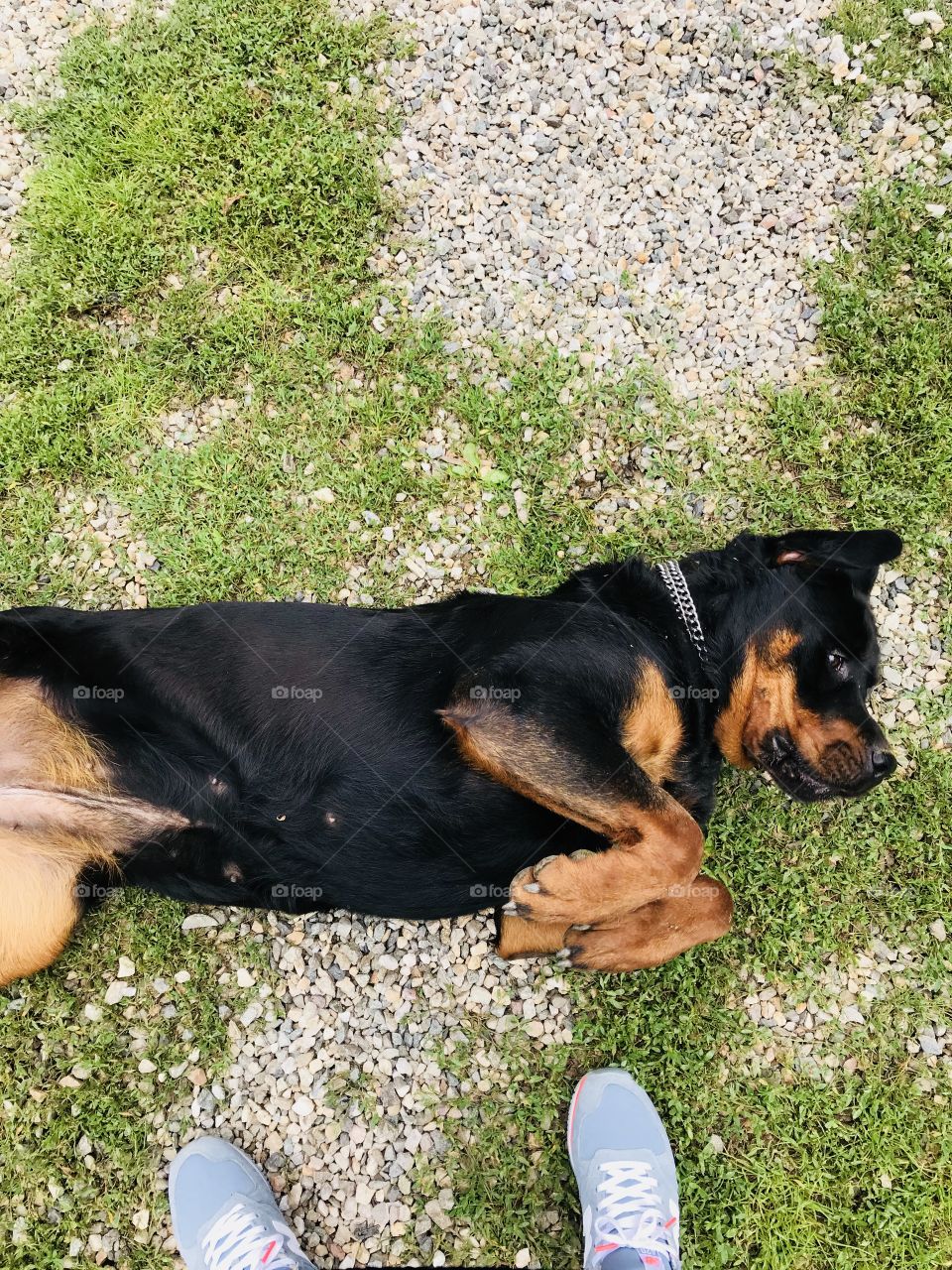 She’s always such a baby