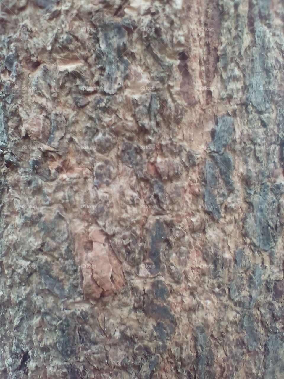 Art Pattern of tree