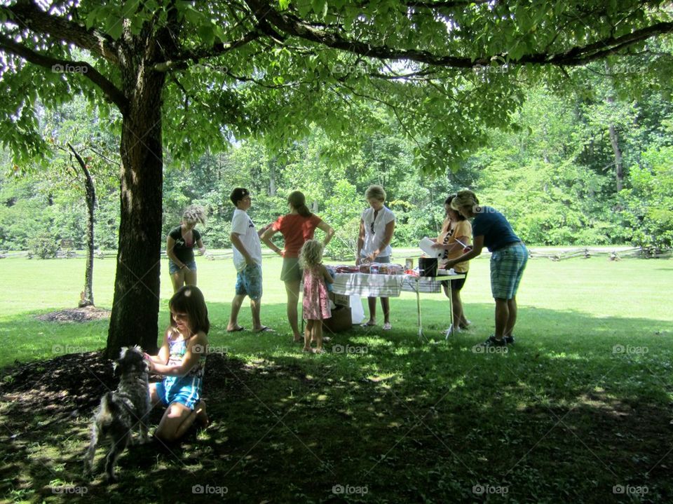 Picnic in the Park