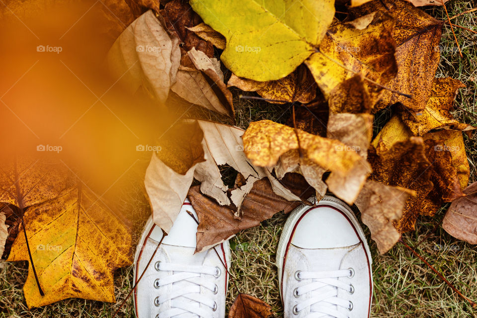 White sneakers and fallen leaves 