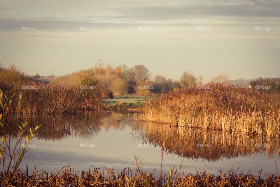 Autumn lake