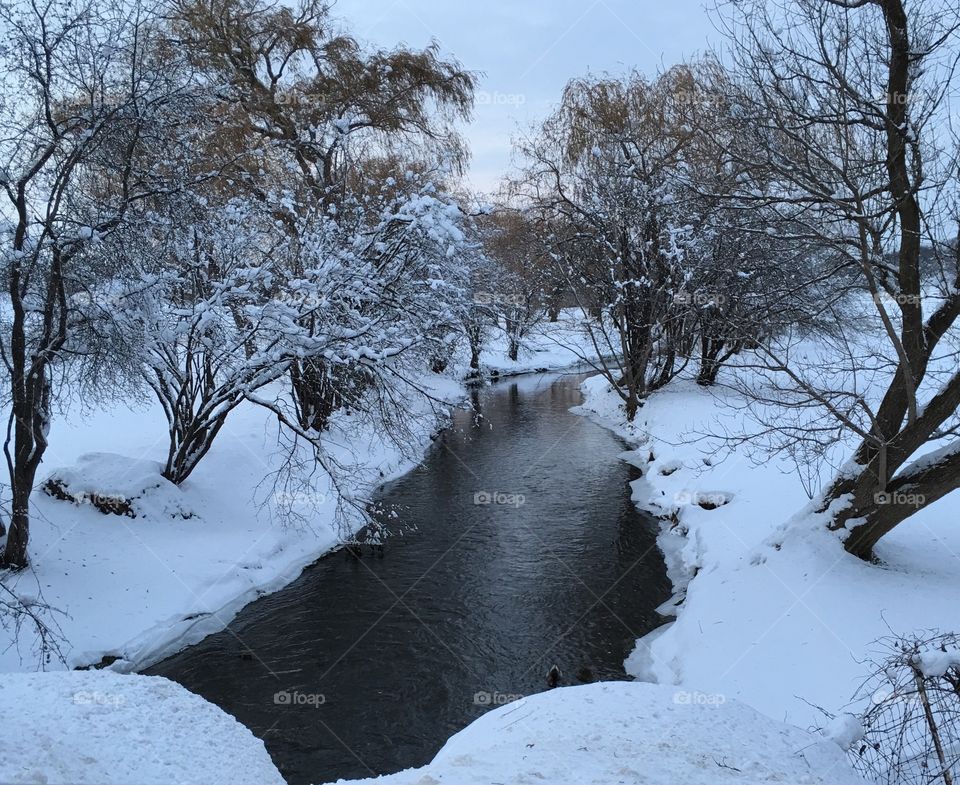 Scenic view of winter stream