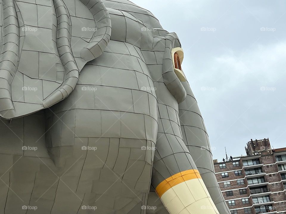 Lucy the Elephant Margate New Jersey 2024