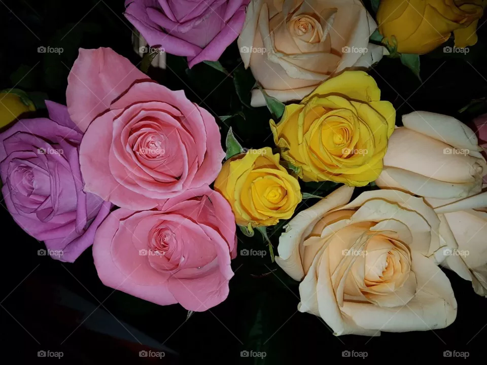 roses