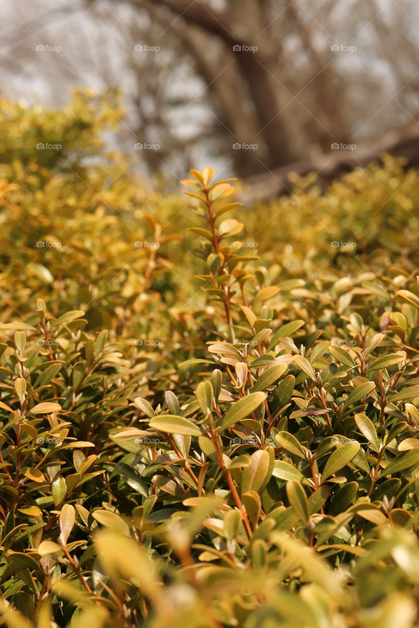 Sometimes you need to lay in the tree lol