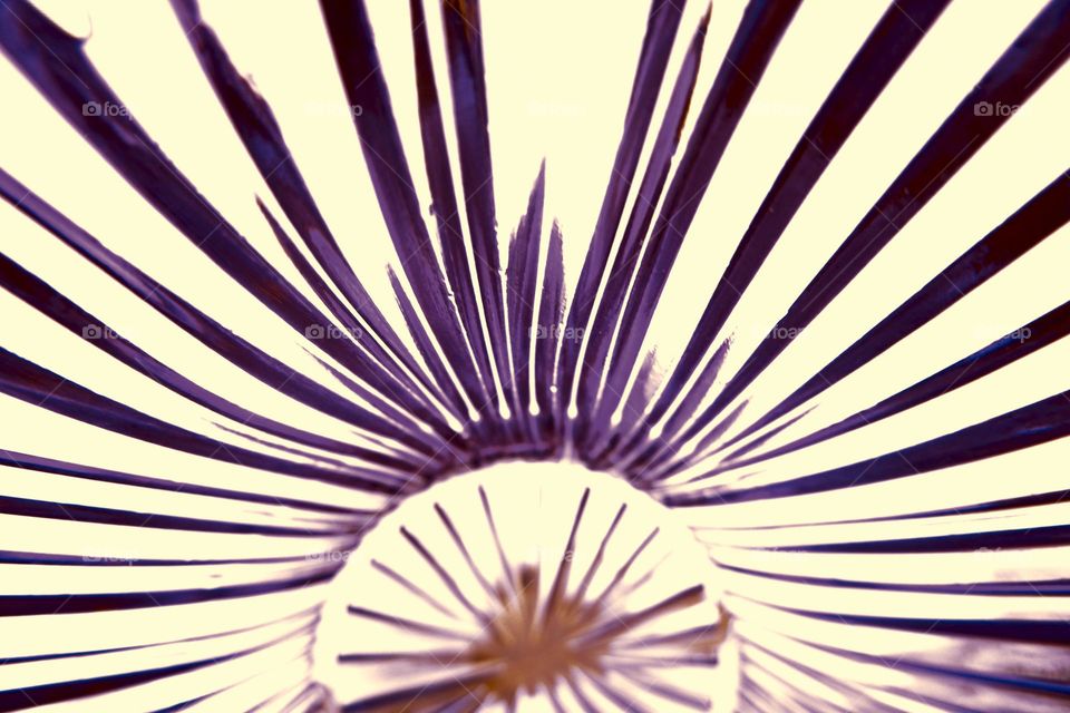 Macroabstract.......