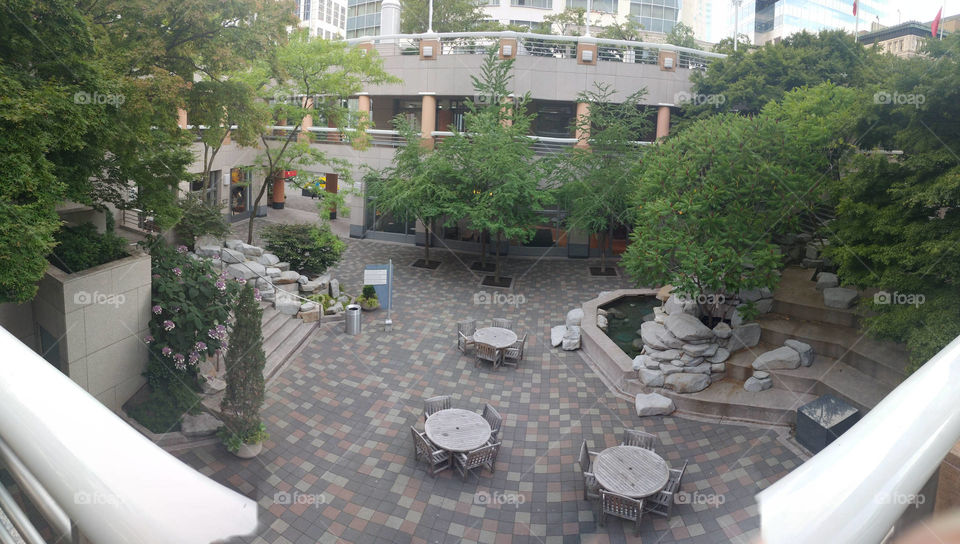 dt courtyard