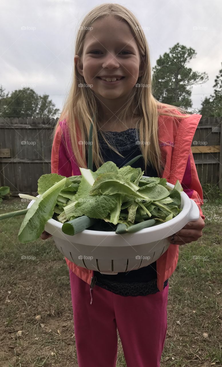 Girl with harvested lettuce