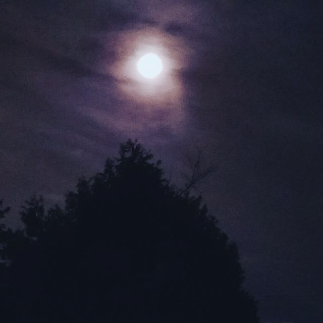 Purple haze moon