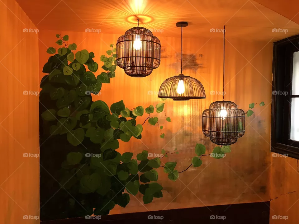 Lighting
