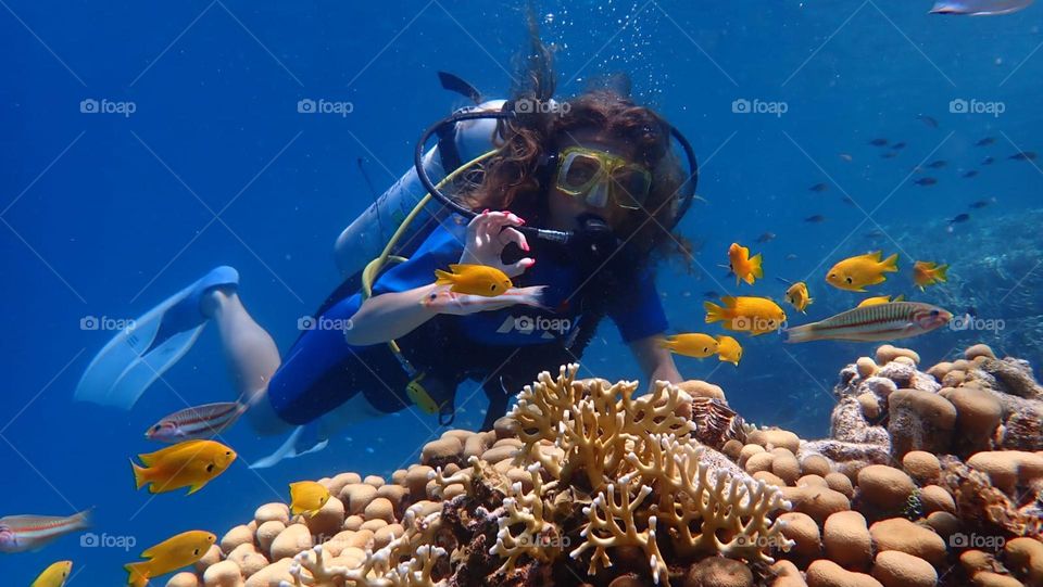 Diving in Hurghada, Egypt 2022.