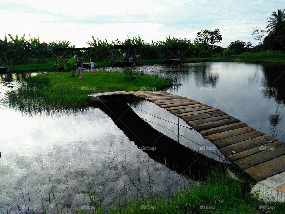 Wood bridge leading to a small island