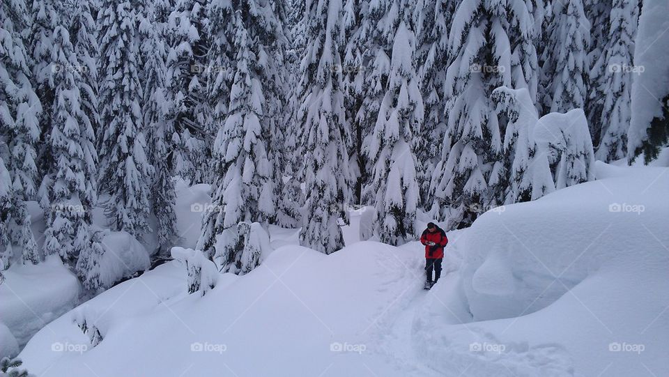 snowshoing