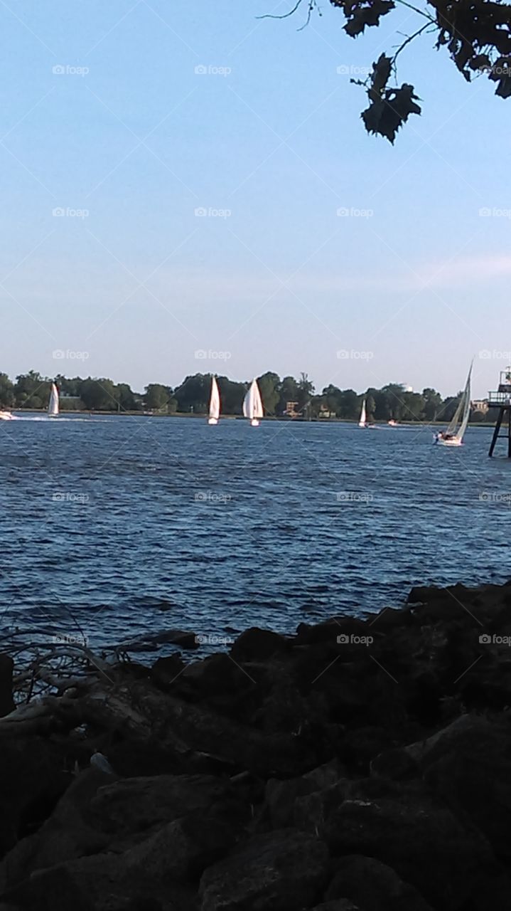 Linden Ave Philadelphia Pa. Beautiful water  and Sail boats ... With Breathtaking background.    Delaware River