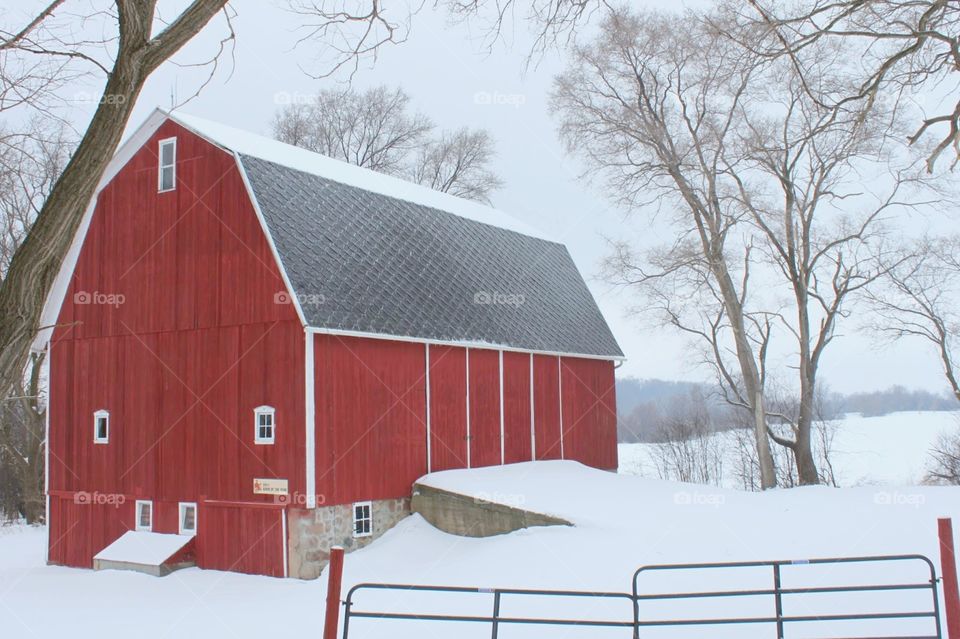 Winter On The Farm