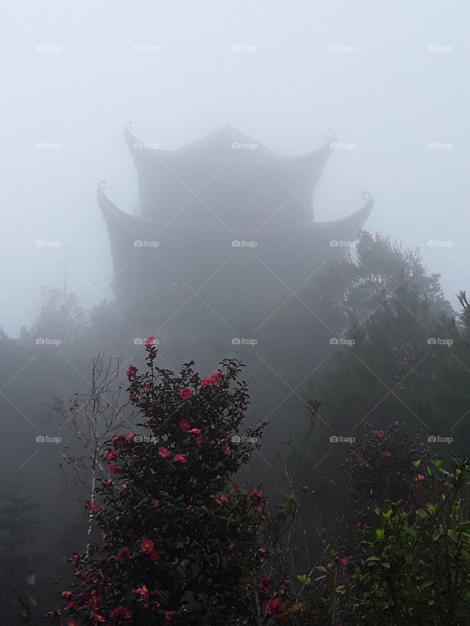 Asian Temple in the Fog