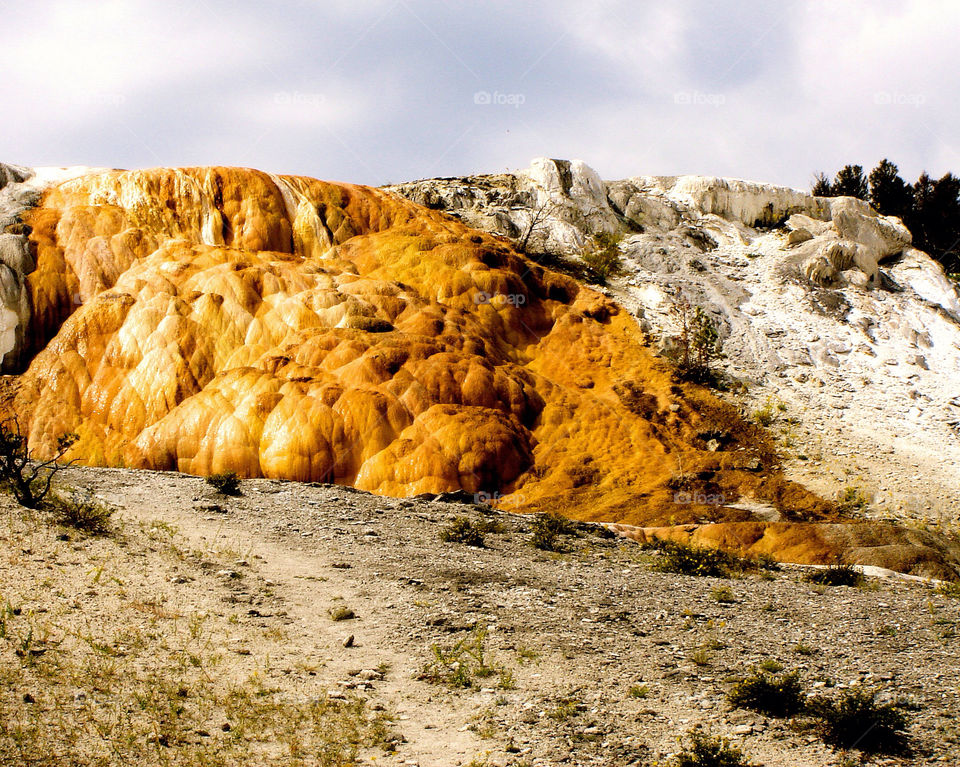 rock boulder yellowstone by refocusphoto