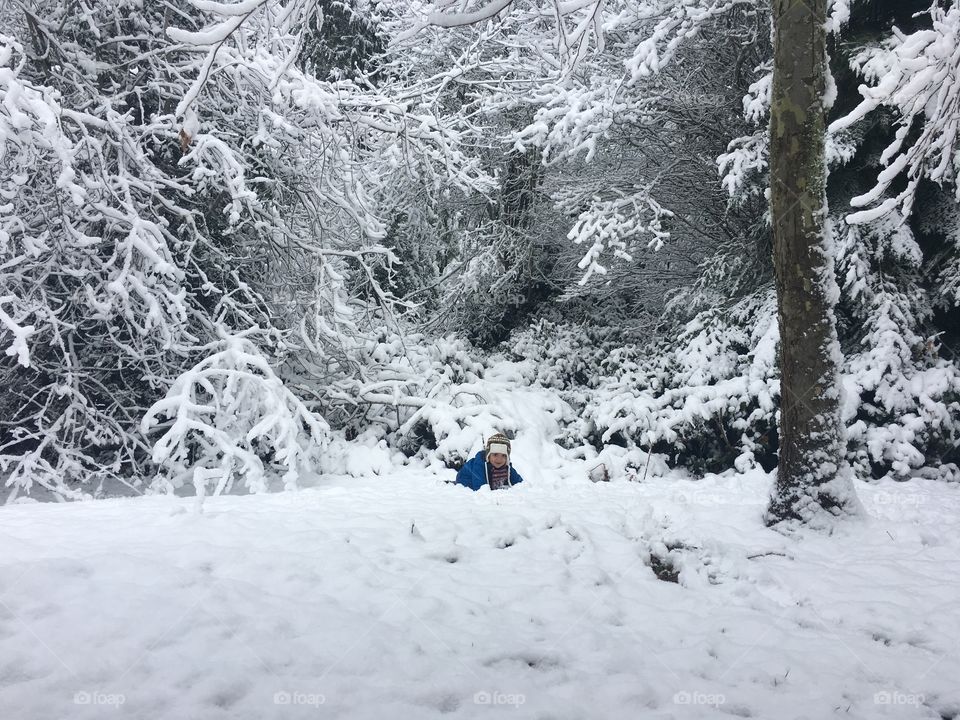 Snow, Winter, Cold, Frost, Frozen