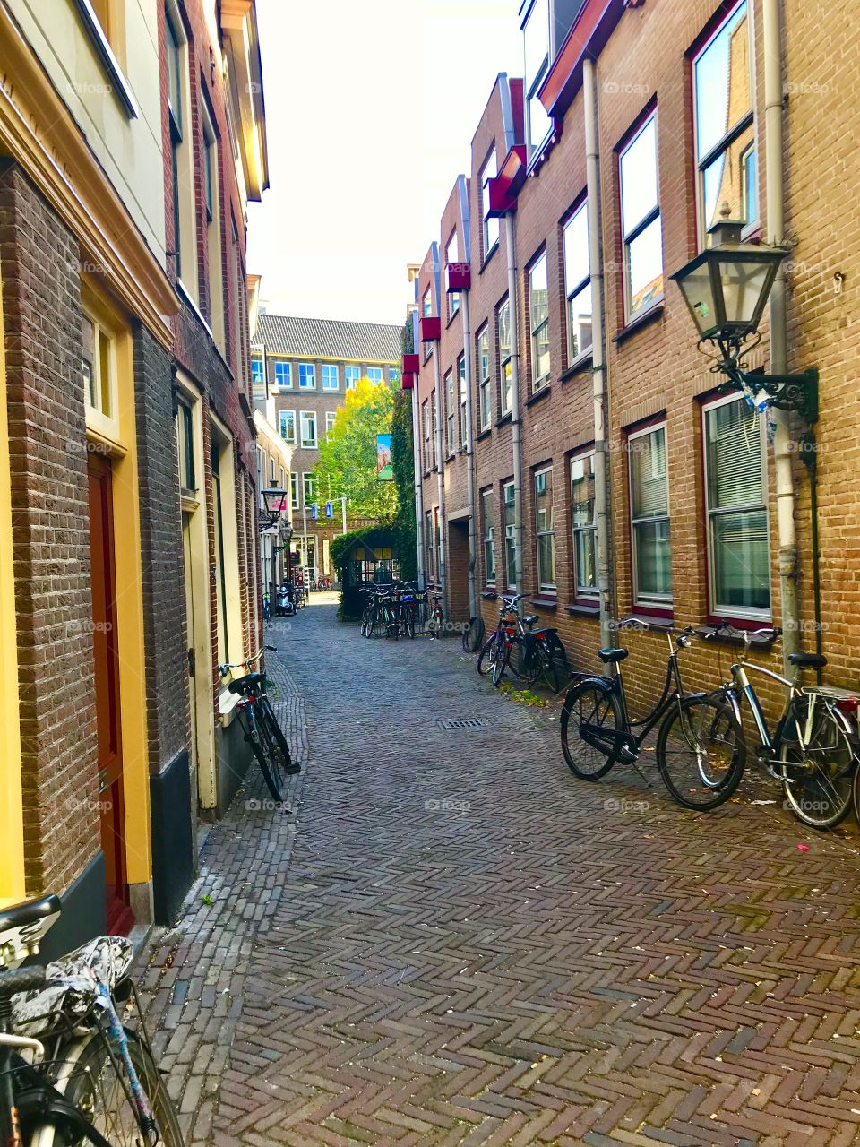 Leiden street