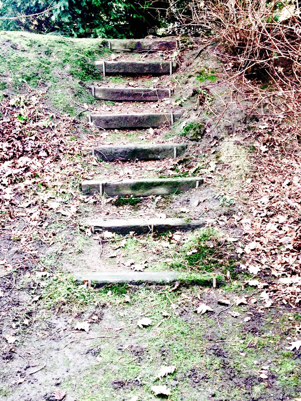 Steps 