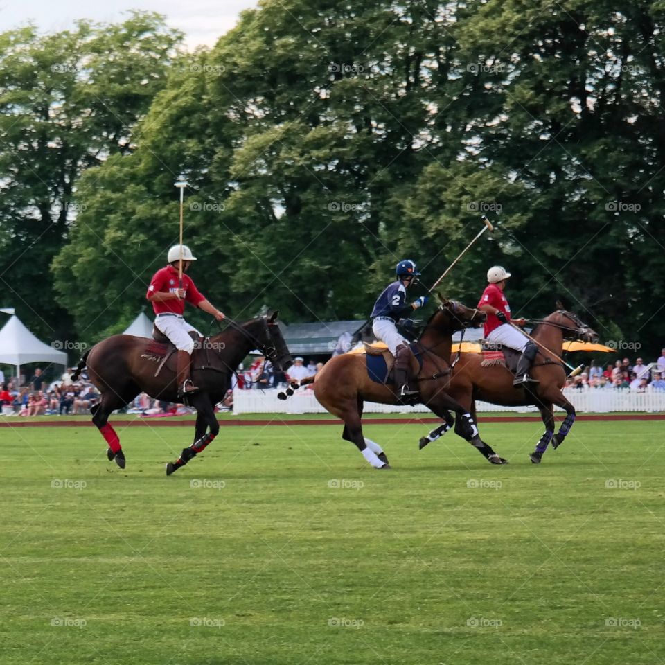 Polo Action. Saturday polo action in Newport, RI.