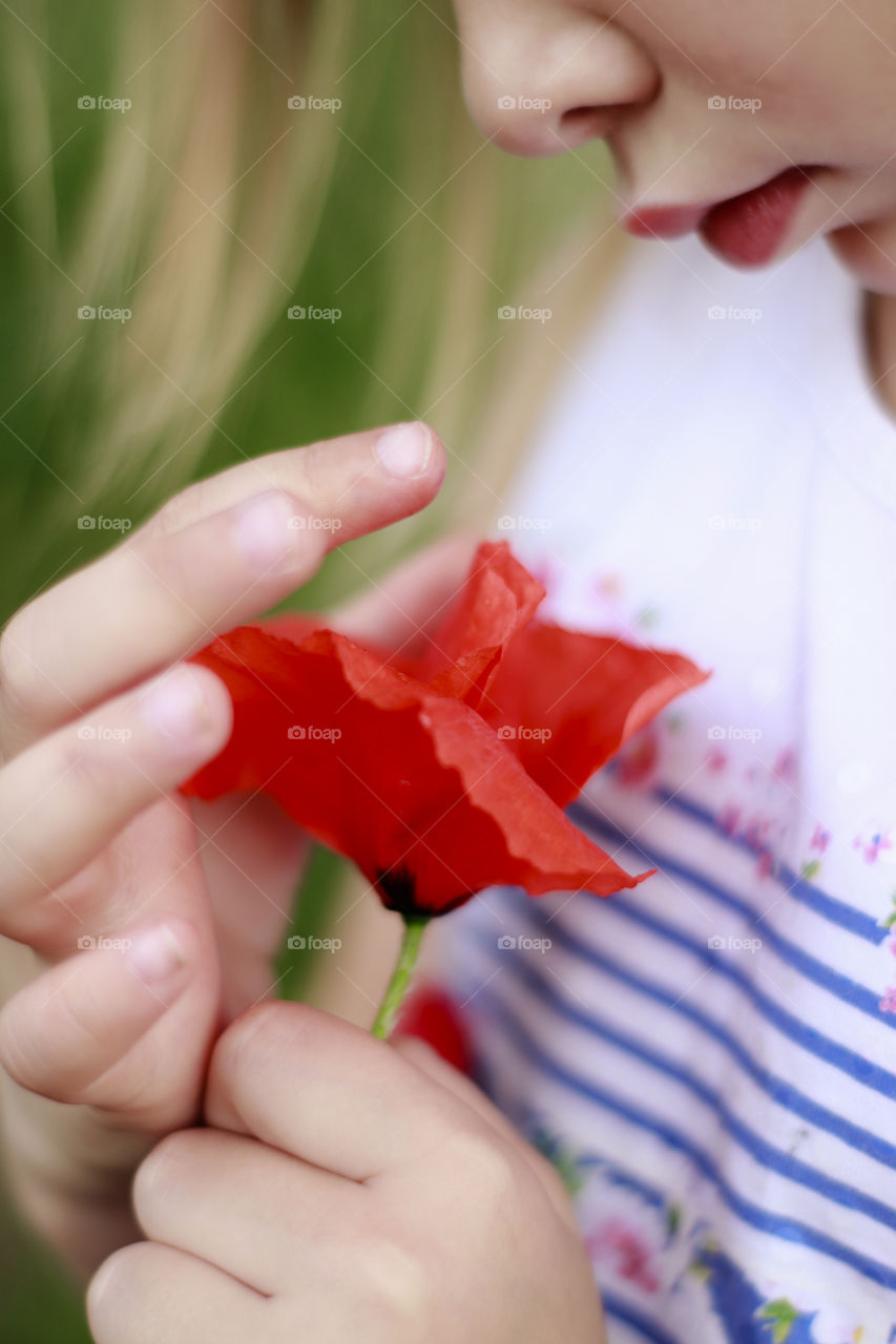 poppy flower