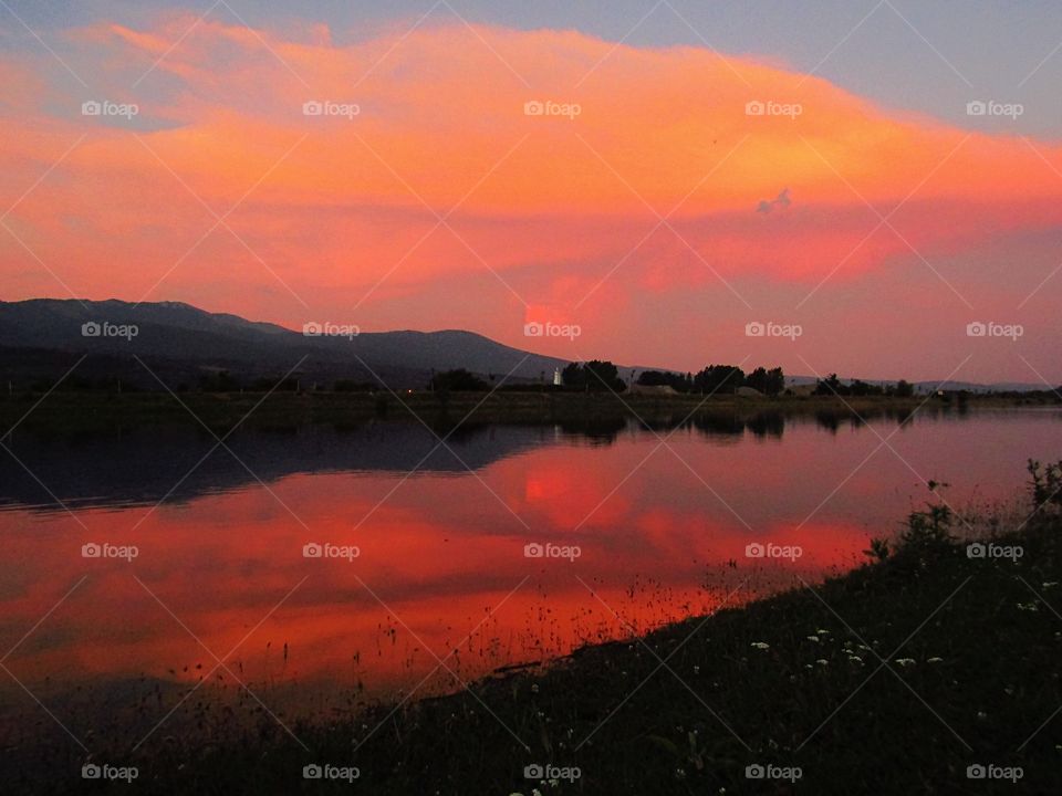 Lake, reflection, flowers and sunset