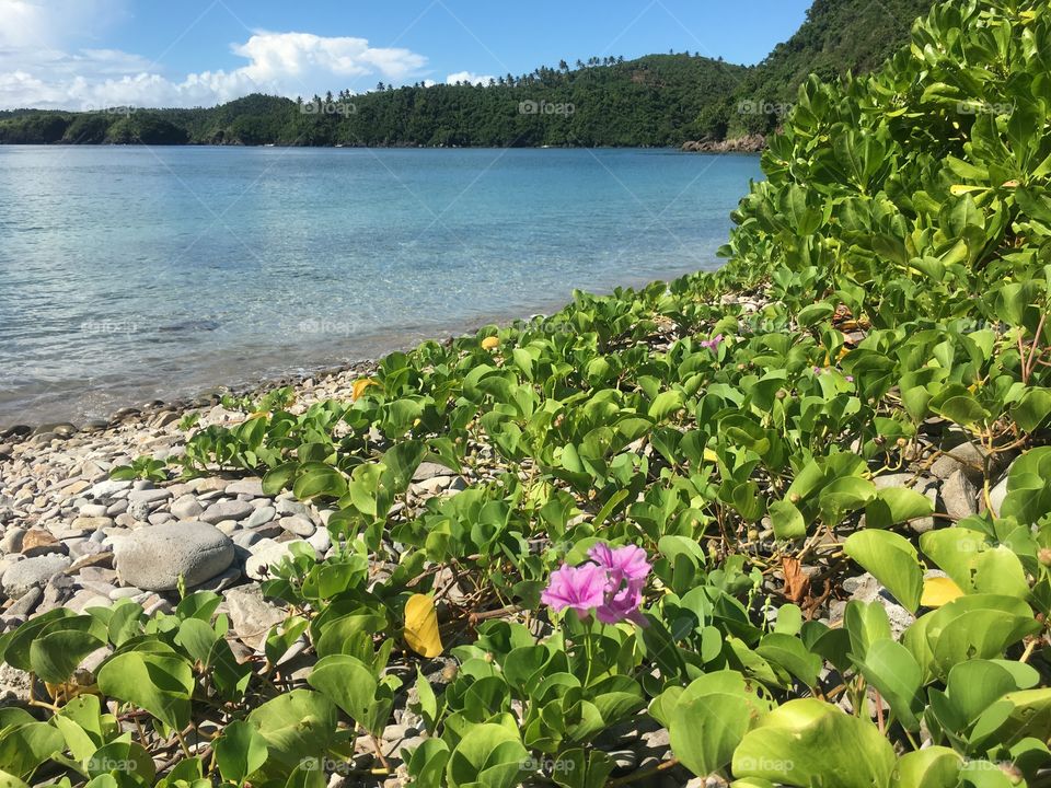 Secluded beach