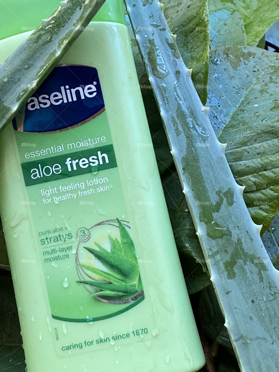 Skin care and nourishing with Vaseline lotion