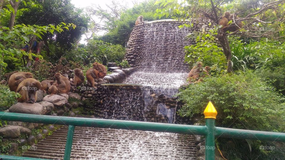 enjoy waterfall