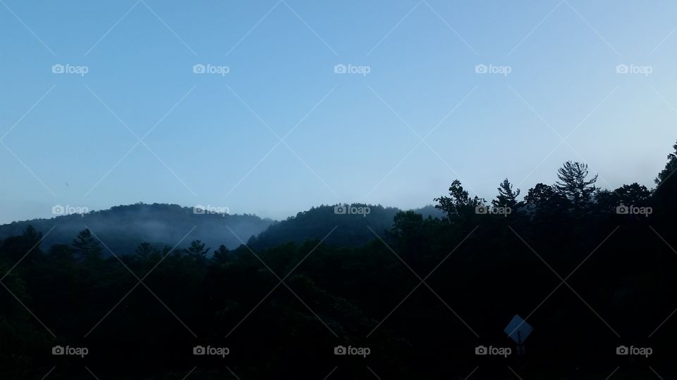 Landscape, Tree, Fog, Mountain, Sky