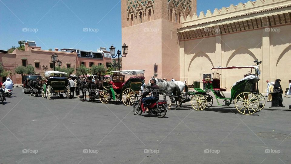 Public transport in Morocco:  caleche.