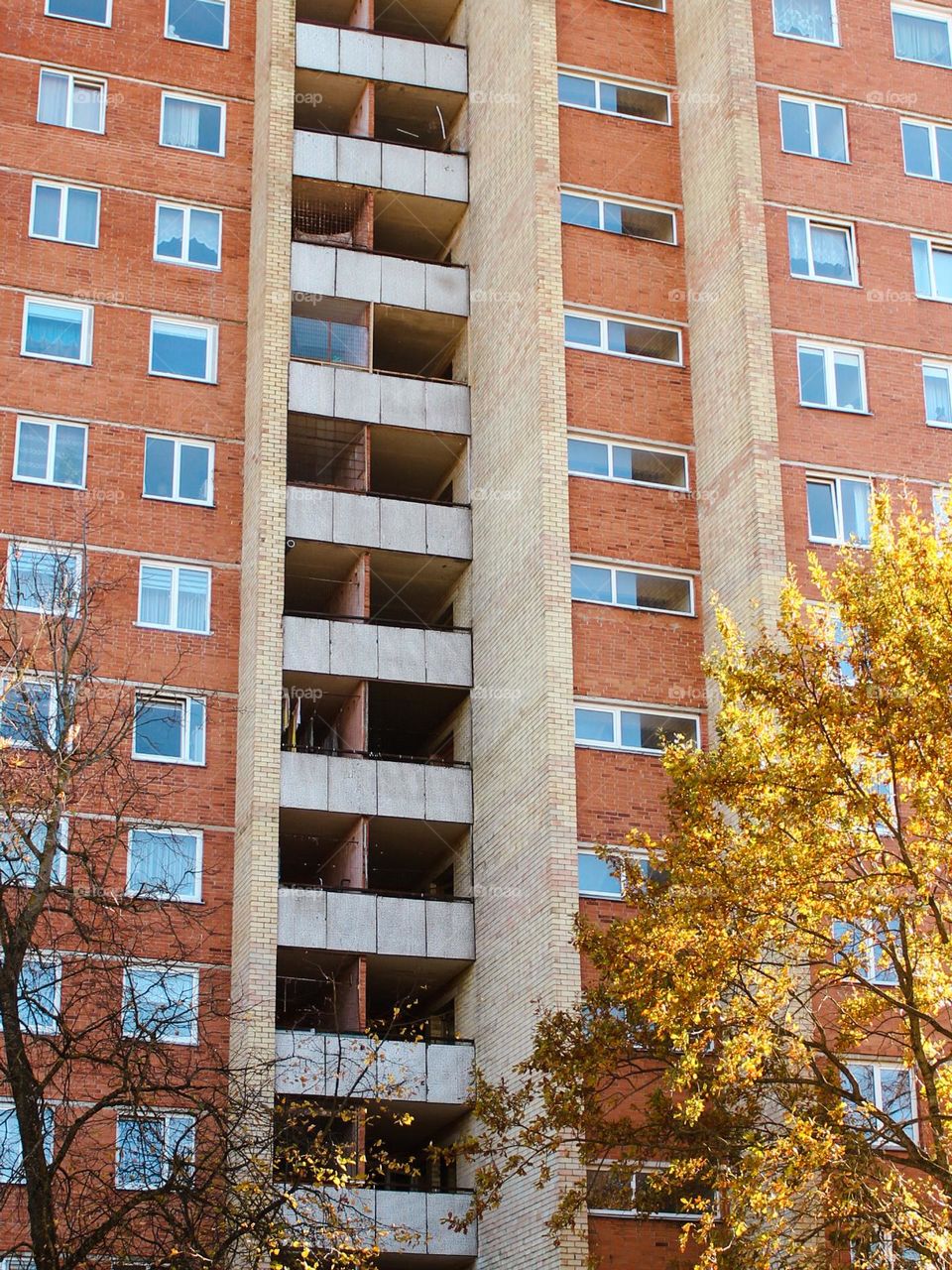 A photographic rhythm of apartments