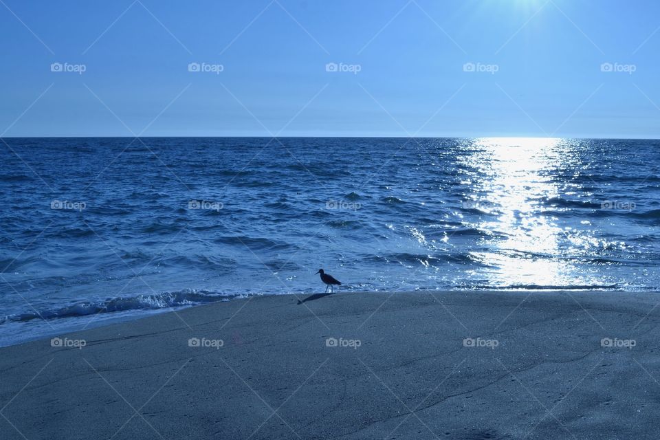 What planet is this?