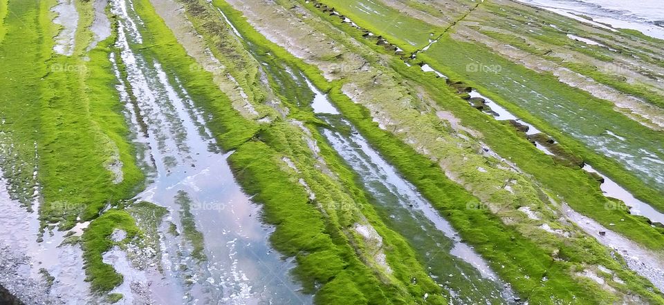 Textura natural sobre roca marina y mar