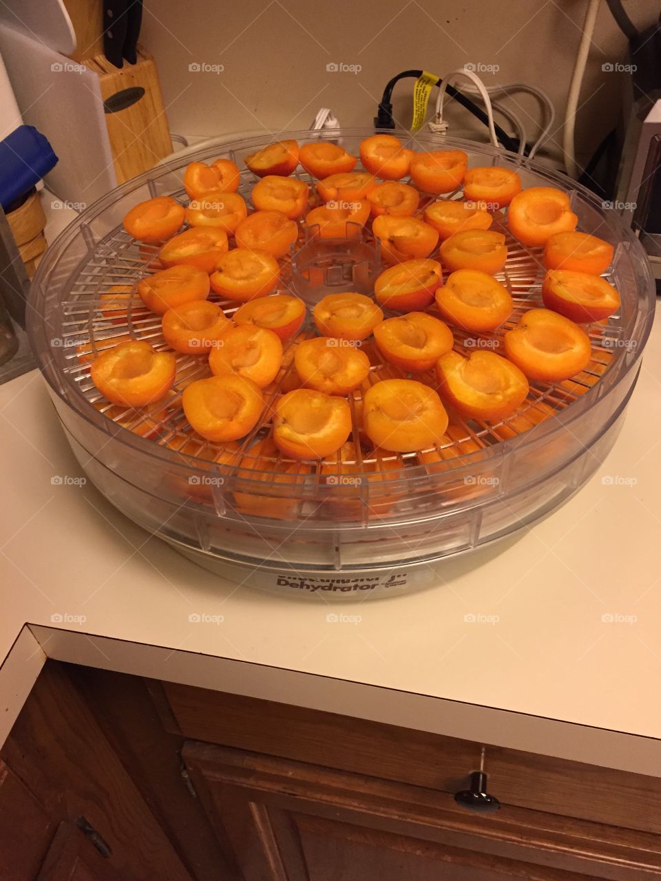 Apricots drying
