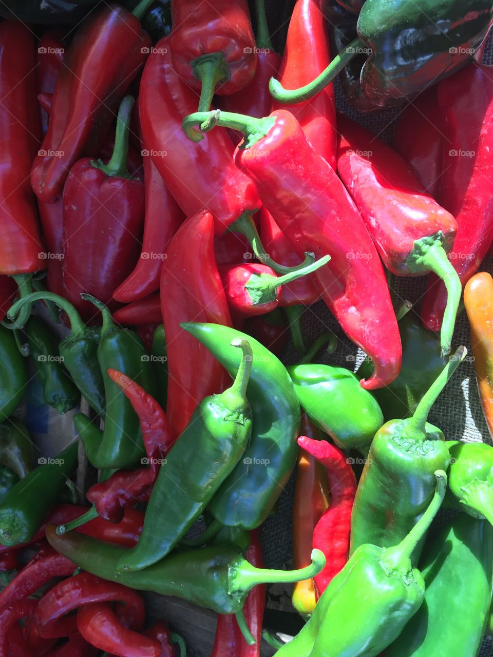 Red and green peppers 