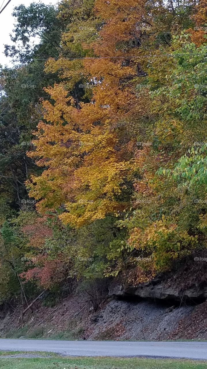 turning autumn in my community