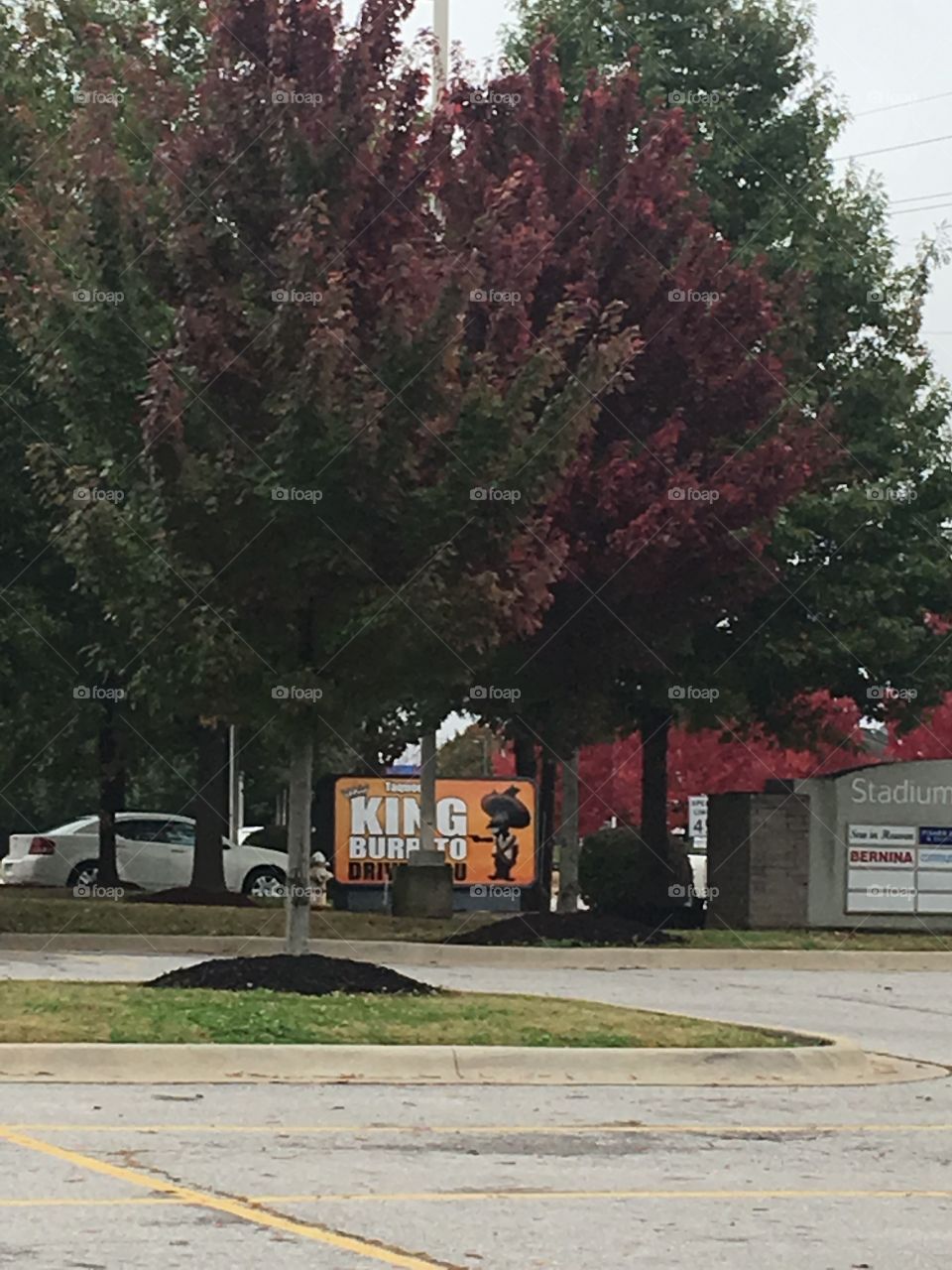 Trees still working on changing there colors. Still a lot of green on the bottom 