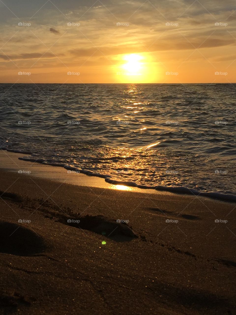 Beach sunset