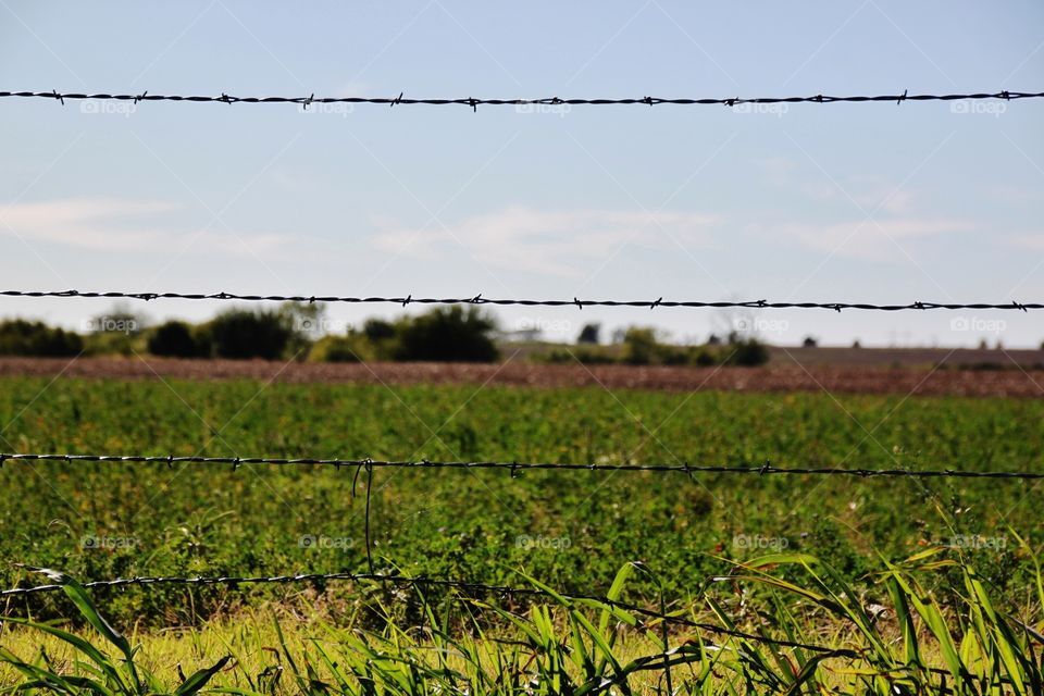 Barbed-wire